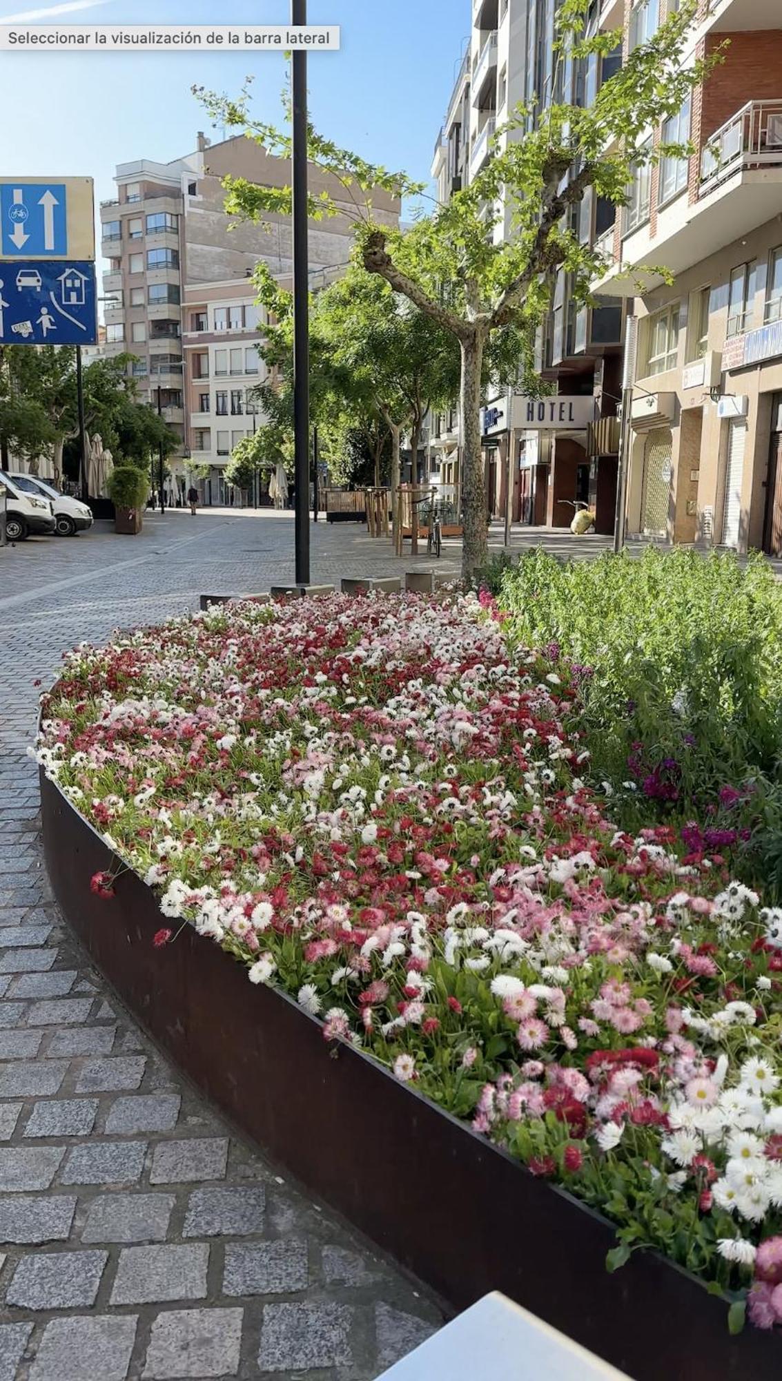 Esencia Del Casco Antiguo Logrono